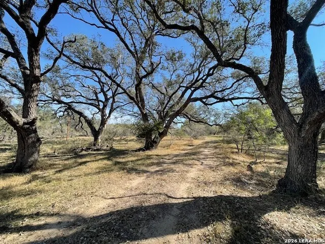 1384 County Road 326 Adkins, TX 78101