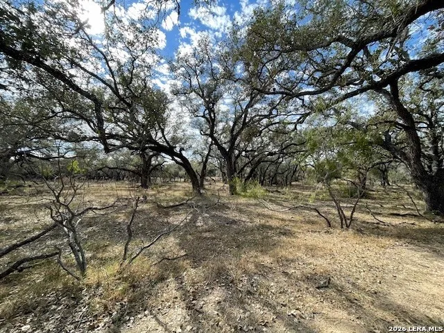 1384 County Road 326 Adkins, TX 78101