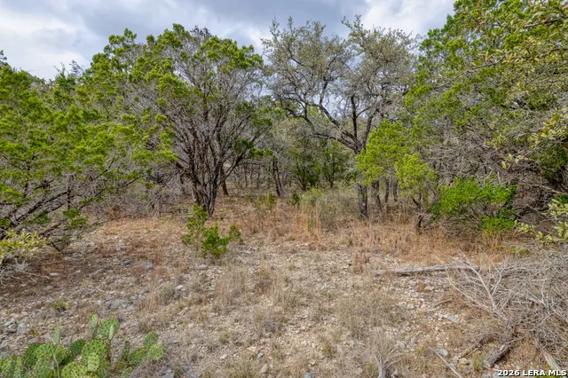 430 Frio Canyon Concan, TX 78838