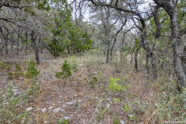 430 Frio Canyon Concan, TX 78838