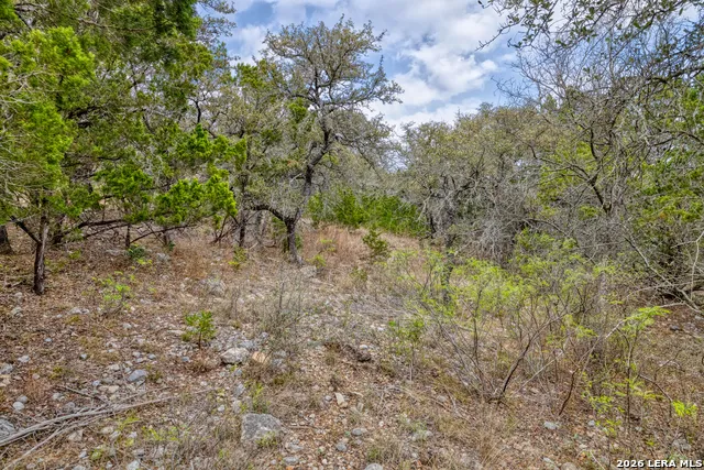 430 Frio Canyon Concan, TX 78838