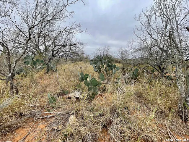 7.55 ACRES CR 2701 Bigfoot, TX 78005