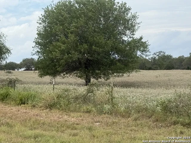 1404 US Highway 87 W Stockdale, TX 78160