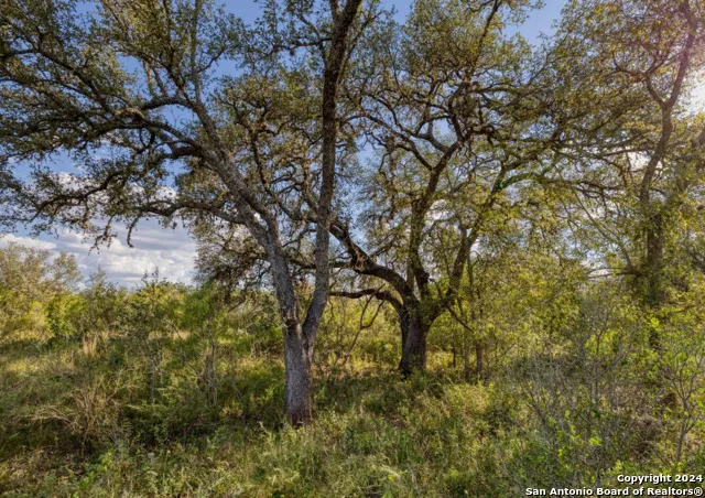 00 Utopia Forest Dhanis, TX 78850