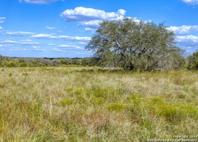 00 Utopia Forest Dhanis, TX 78850
