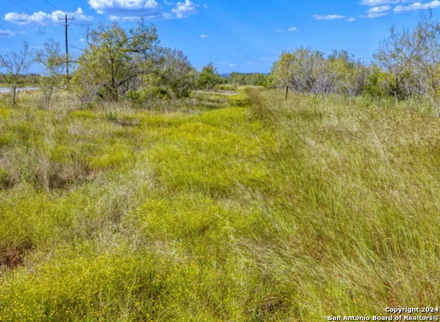00 Utopia Forest Dhanis, TX 78850