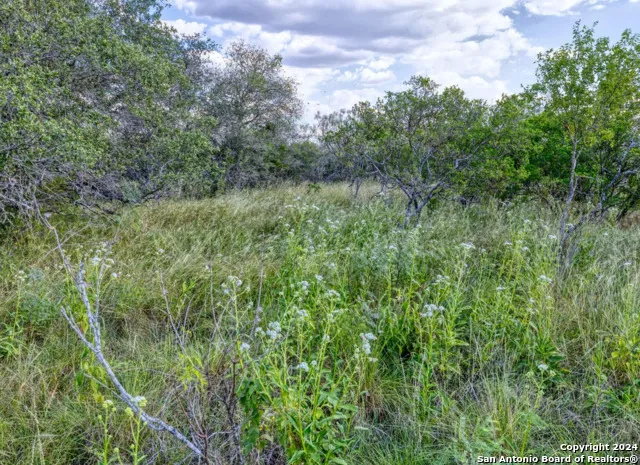 00 Utopia Forest Dhanis, TX 78850