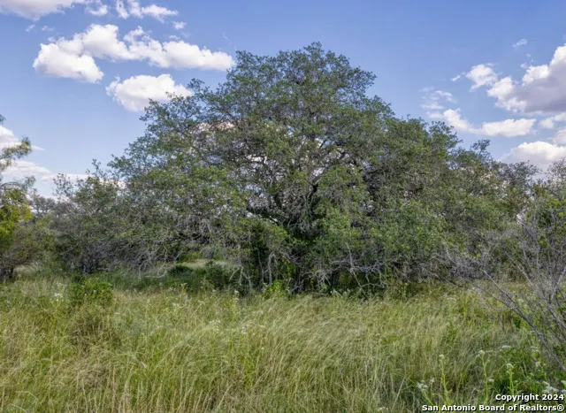 00 Utopia Forest Dhanis, TX 78850