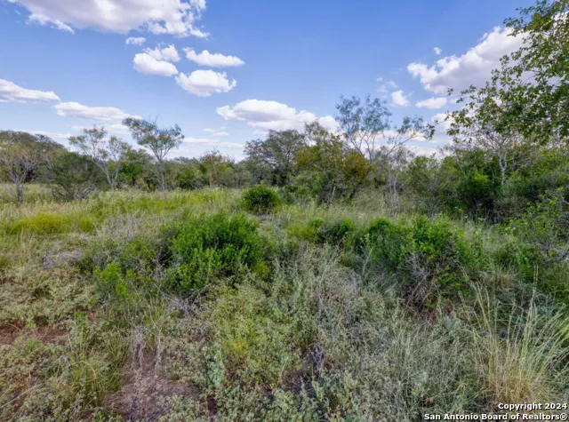 00 Utopia Forest Dhanis, TX 78850