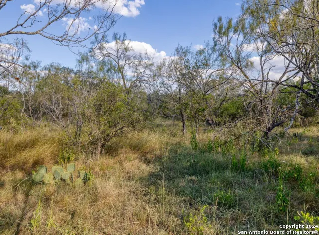 00 Utopia Forest Dhanis, TX 78850