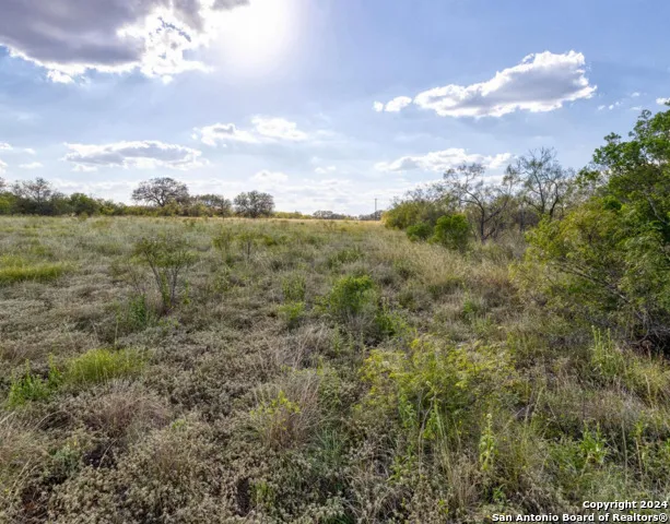 00 Utopia Forest Dhanis, TX 78850