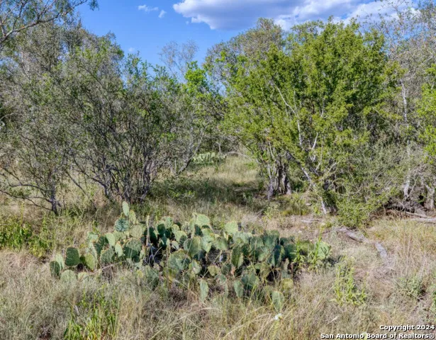 00 Utopia Forest Dhanis, TX 78850