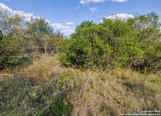 00 Utopia Forest Dhanis, TX 78850