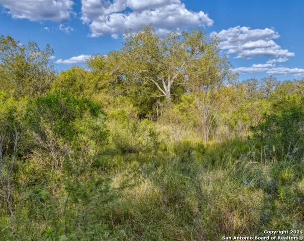 00 Utopia Forest Dhanis, TX 78850