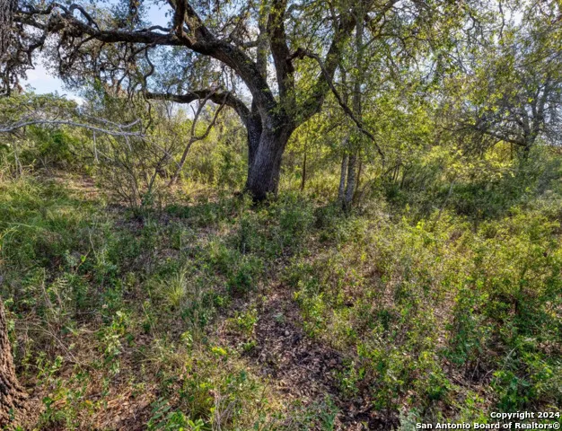 00 Utopia Forest Dhanis, TX 78850