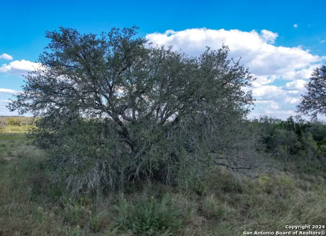 00 Utopia Forest Dhanis, TX 78850