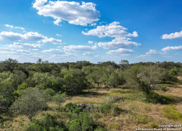 00 Utopia Forest Dhanis, TX 78850