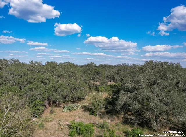 00 Utopia Forest Dhanis, TX 78850