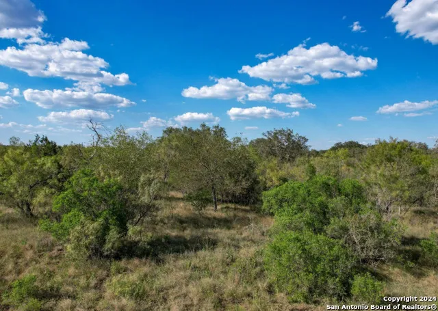 00 Utopia Forest Dhanis, TX 78850