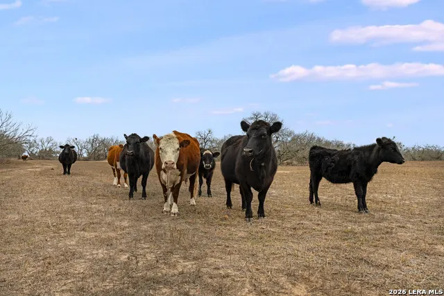 000 County Road 454 Stockdale, TX 78160