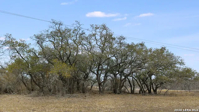 000 County Road 454 Stockdale, TX 78160