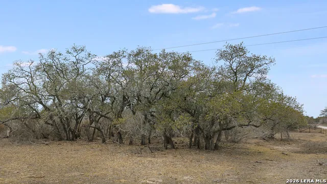 000 County Road 454 Stockdale, TX 78160