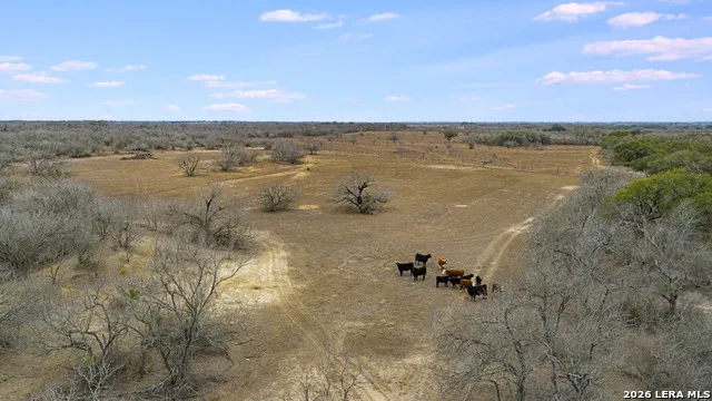 000 County Road 454 Stockdale, TX 78160