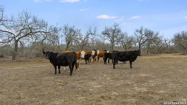 000 County Road 454 Stockdale, TX 78160