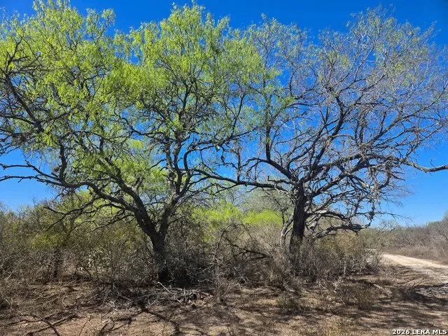 9239 CR 123 Pawnee, TX 78145