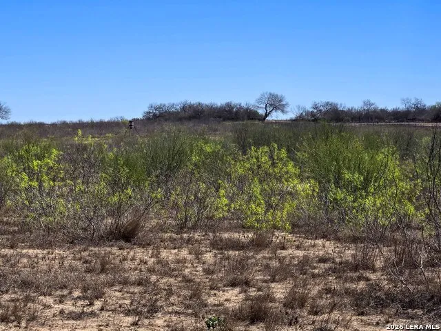 9239 CR 123 Pawnee, TX 78145