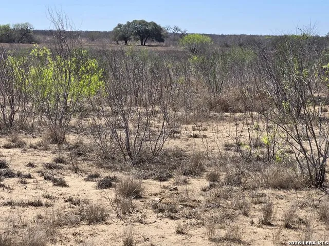 9239 CR 123 Pawnee, TX 78145