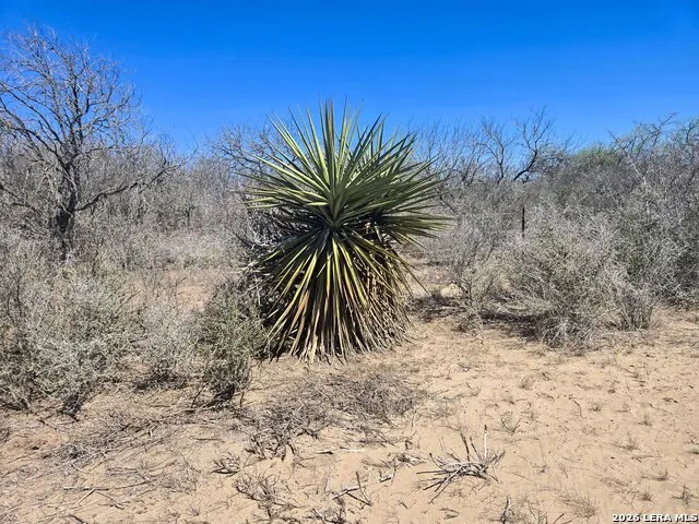 9239 CR 123 Pawnee, TX 78145