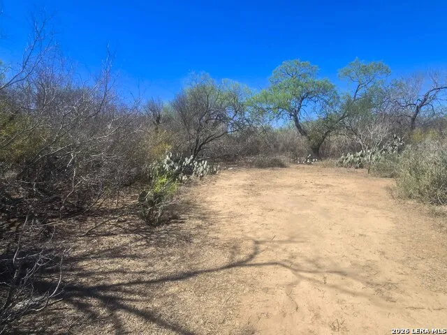 9239 CR 123 Pawnee, TX 78145