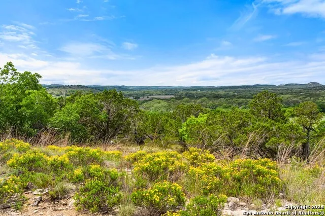 17 September Ridge Johnson City, TX 78636