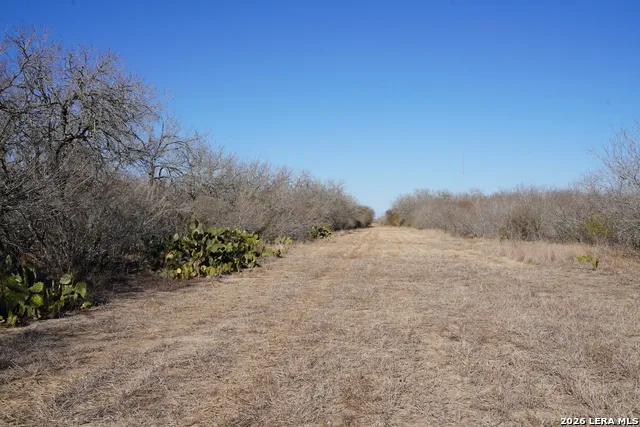 0 County Road 406 Falfurrias, TX 78355