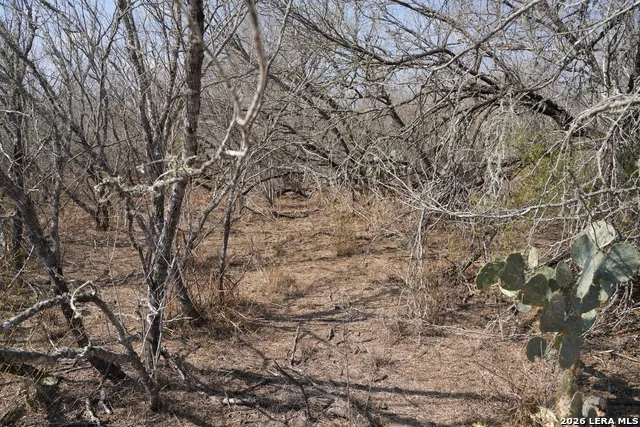 0 County Road 406 Falfurrias, TX 78355