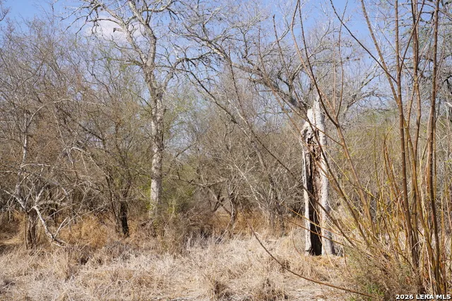 0 County Road 406 Falfurrias, TX 78355