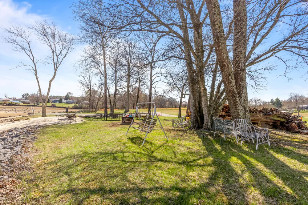 1235 New Lake Road Spring City, TN 37381