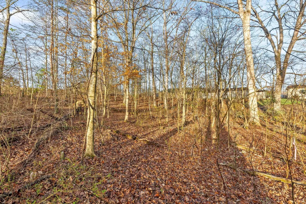 8961 Highway 58 Harrison, TN 37341