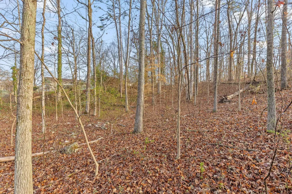 8961 Highway 58 Harrison, TN 37341