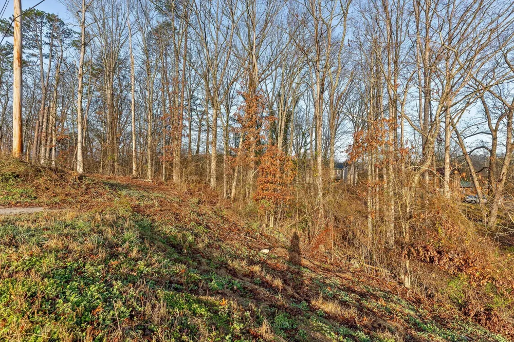 8961 Highway 58 Harrison, TN 37341