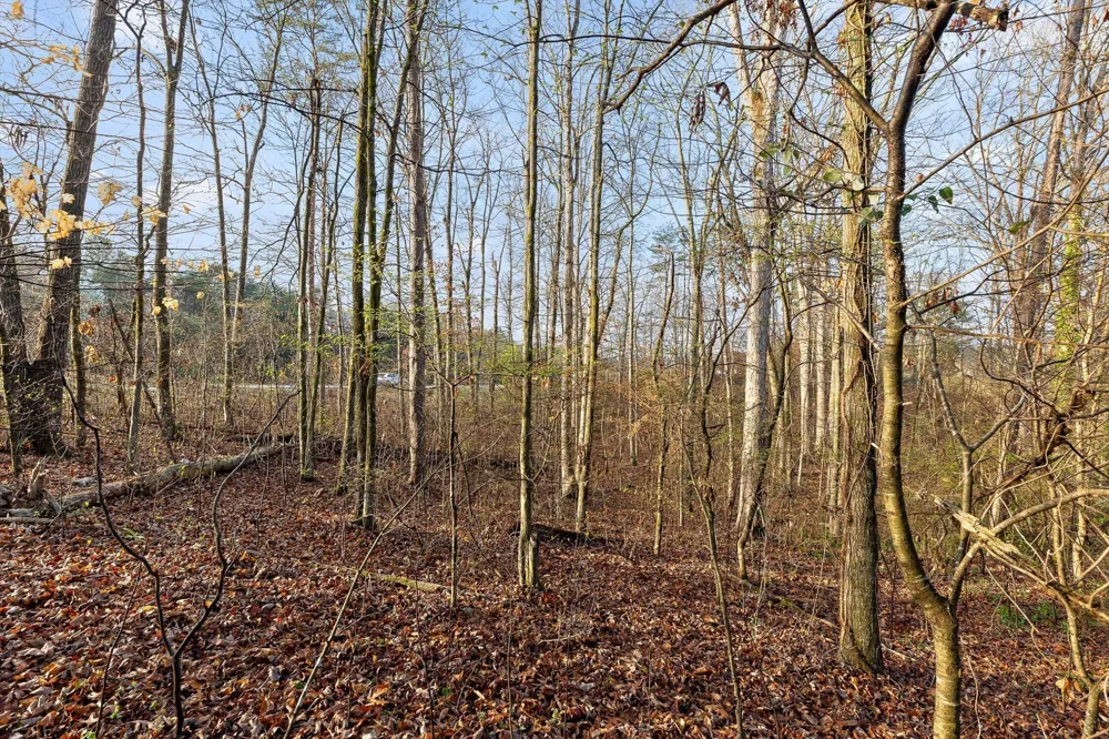 8961 Highway 58 Harrison, TN 37341