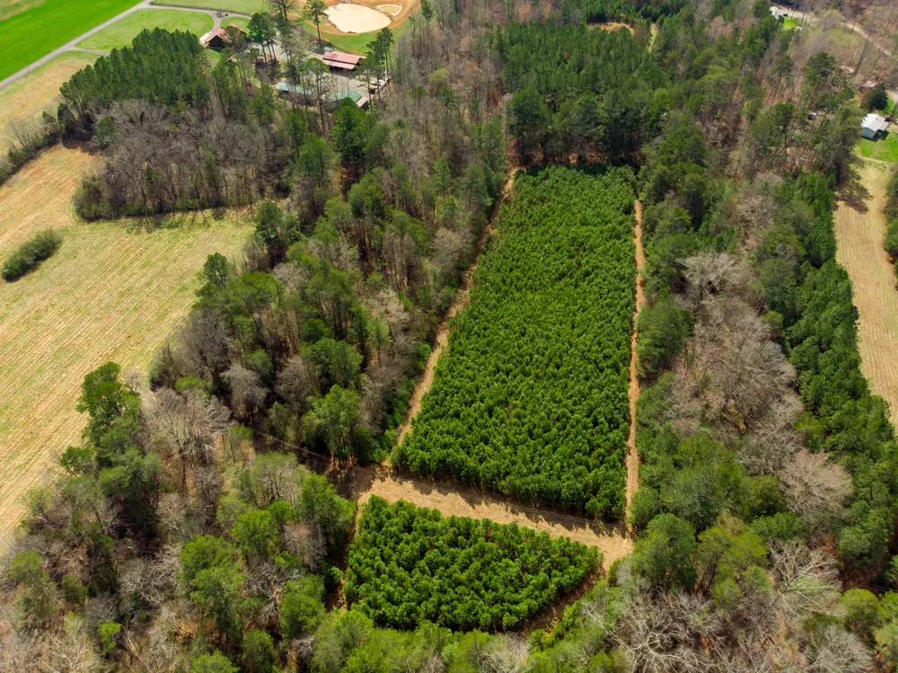 1321 Sand Mountain Road Ocoee, TN 37361