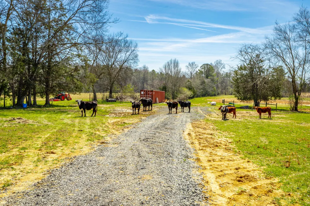 1527 Glass Mill Road Chickamauga, GA 30707