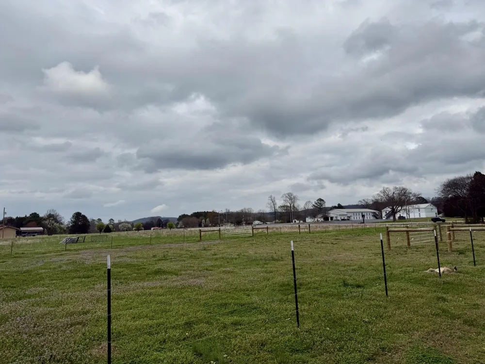 2 Eureka Road NW Charleston, TN 37310