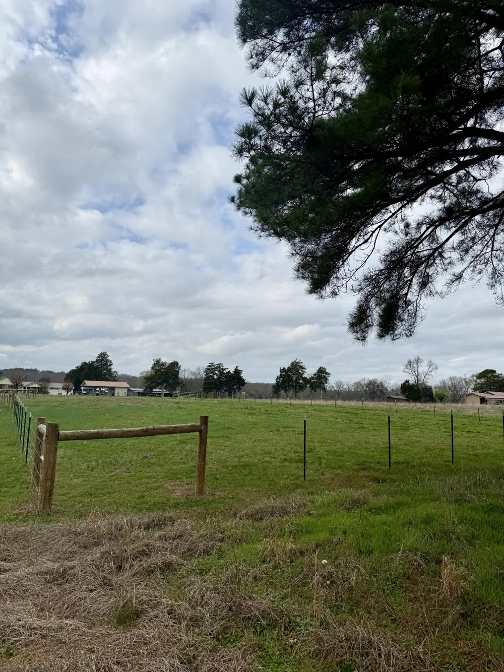 2 Eureka Road NW Charleston, TN 37310