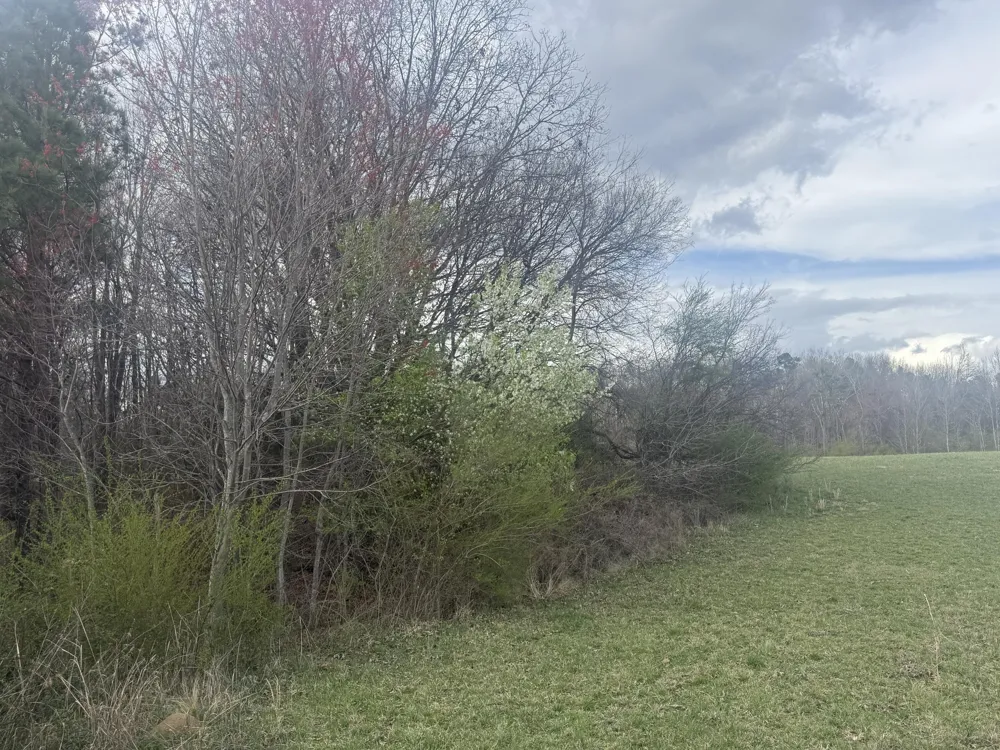 Alabama Highway Flat Rock, AL 35966