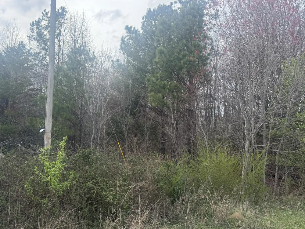 Alabama Highway Flat Rock, AL 35966