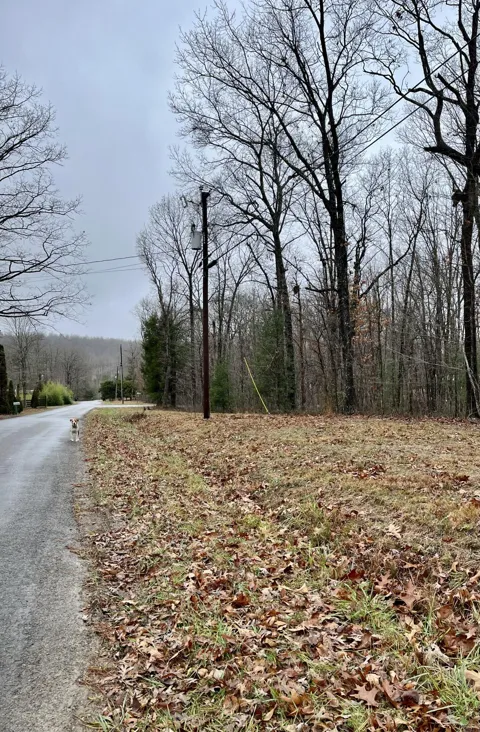60 Laurel Drive