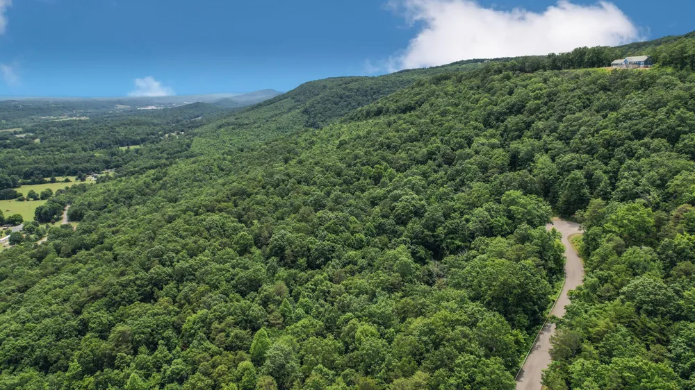 25 Escape Drive Evensville, TN 37332